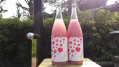 ピンクにごり酒pipipi ピピピ が春大注目です ワダヤ 日本酒 ワイン